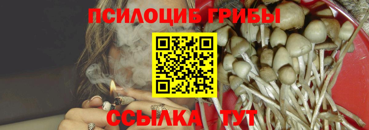 Галлюциногенные грибы Cubensis Ставрополь